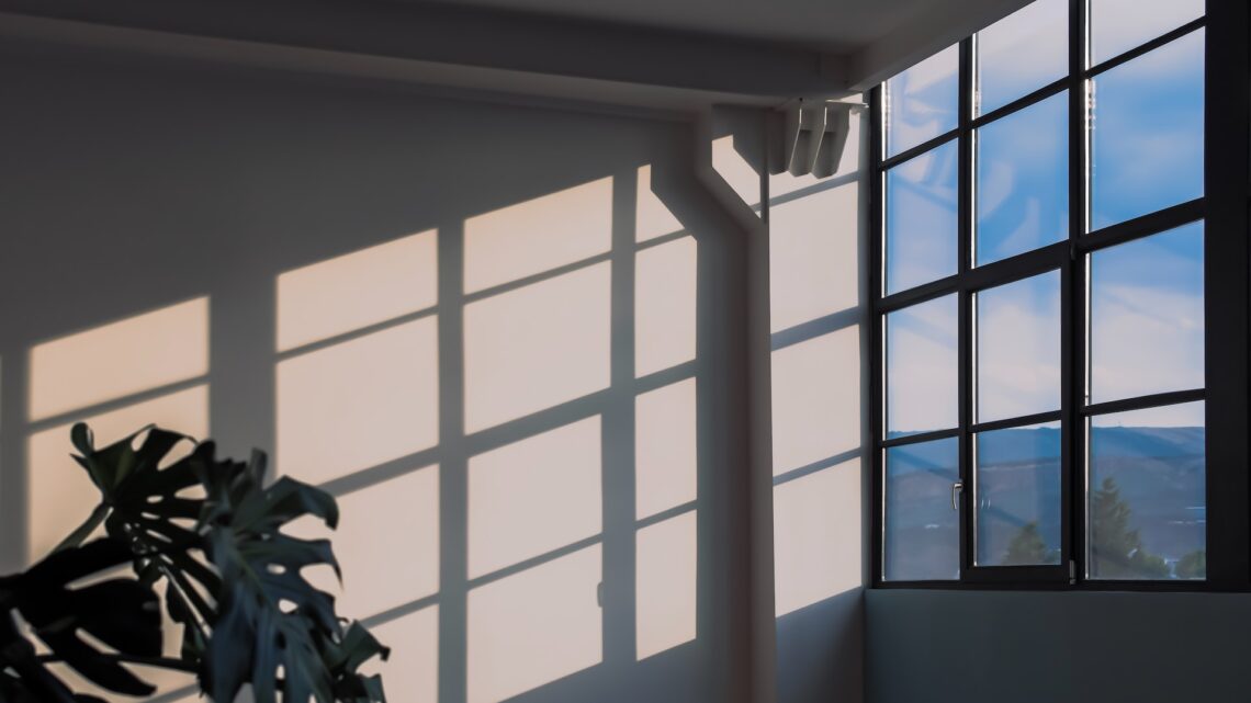 Hvornår skal du vælge professionel vinduespudsning?